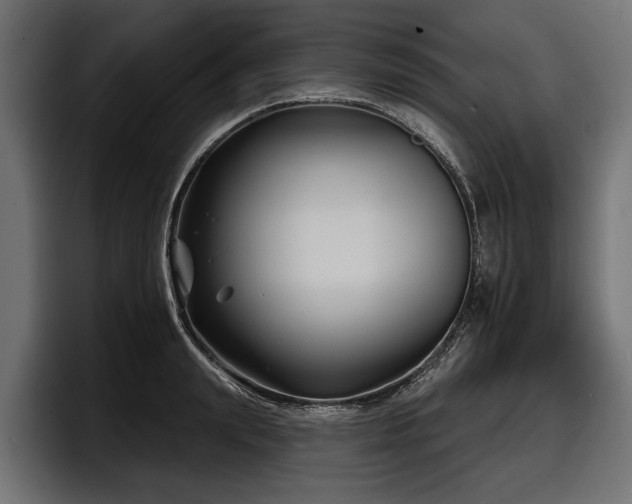 X0000097950847200803241152