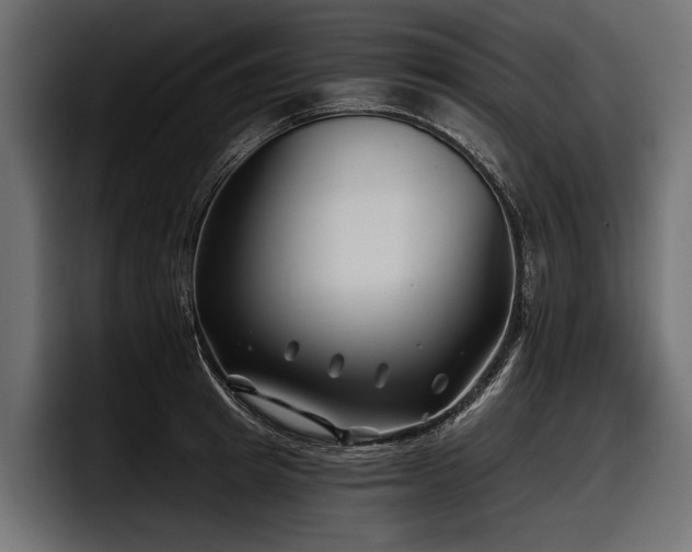 X0000097950849200803241152