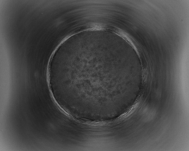 X0000097950851200803241152