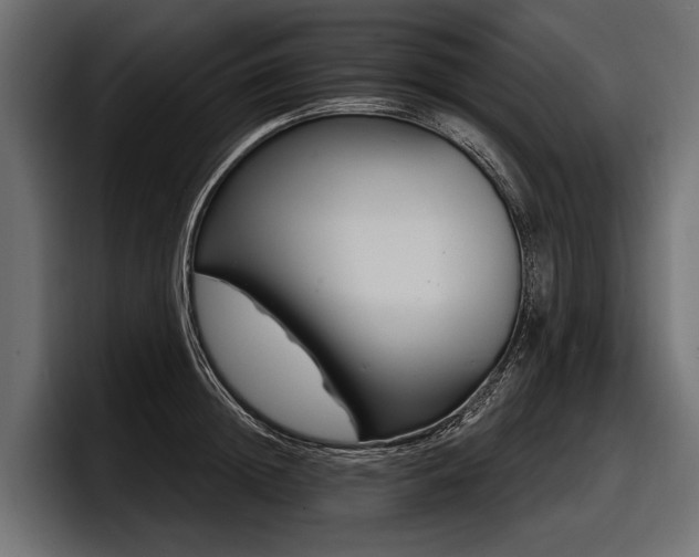 X0000097950852200803241152