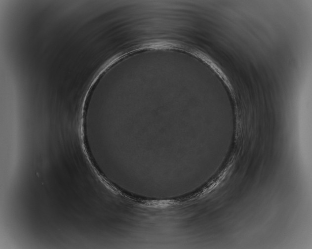 X0000097950853200803241152