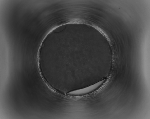 X0000097950854200803241152