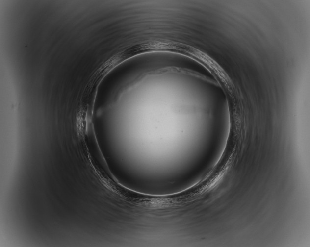 X0000097950857200803241152