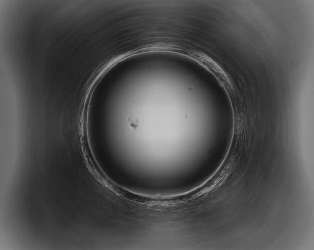 X0000097950860200803241152