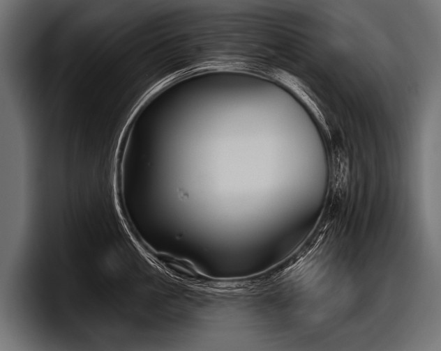 X0000097950861200803241152