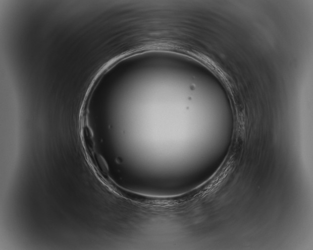 X0000097950862200803241152