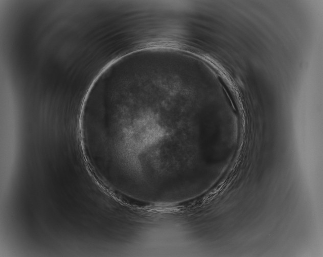 X0000097950864200803241152