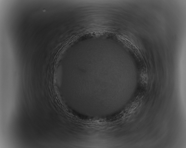 X0000097950865200803241151