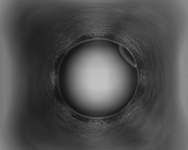 X0000097950866200803241151