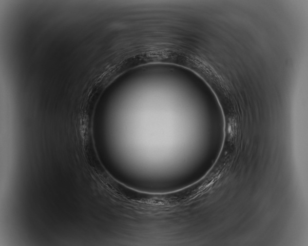 X0000097950867200803241151
