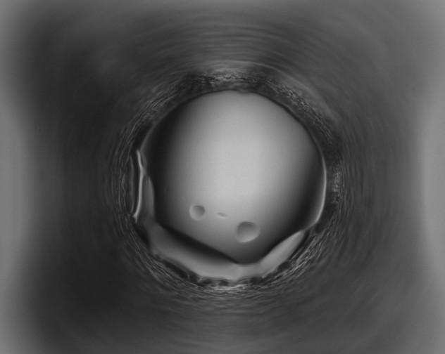 X0000097950868200803241151