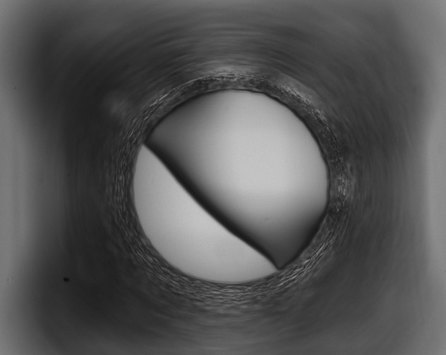 X0000097950869200803241151