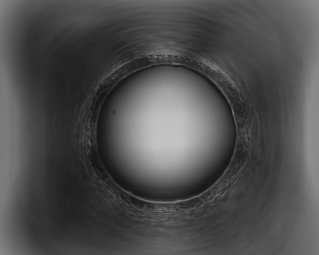 X0000097950870200803241151