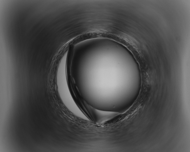 X0000097950872200803241151