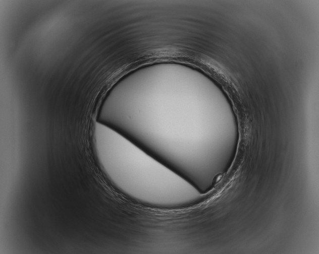 X0000097950873200803241151
