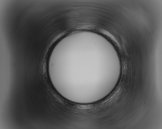 X0000097950874200803241151