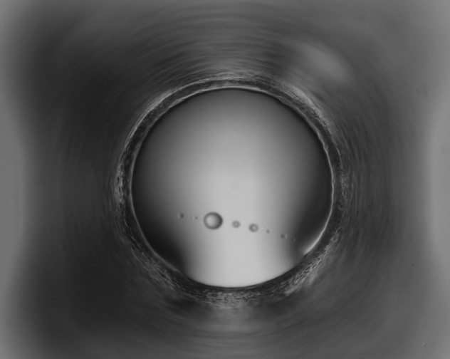 X0000097950875200803241151