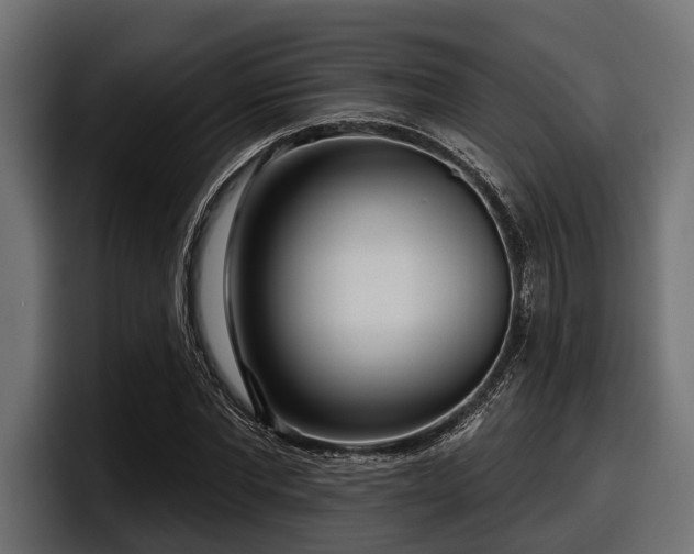 X0000097950877200803241151