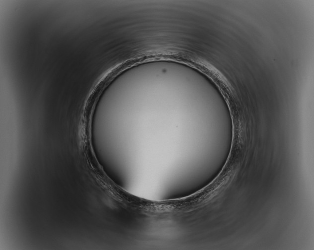 X0000097950878200803241151