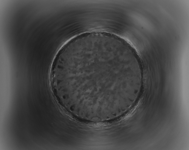 X0000097950879200803241151