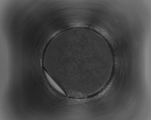 X0000097950881200803241151