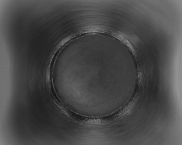 X0000097950882200803241151