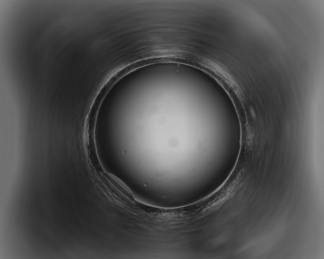 X0000097950883200803241151