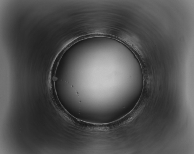 X0000097950884200803241151