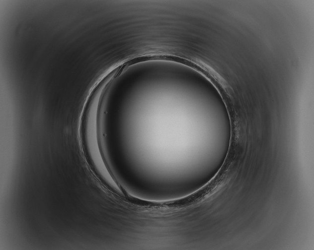 X0000097950885200803241151