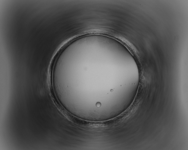 X0000097950886200803241151