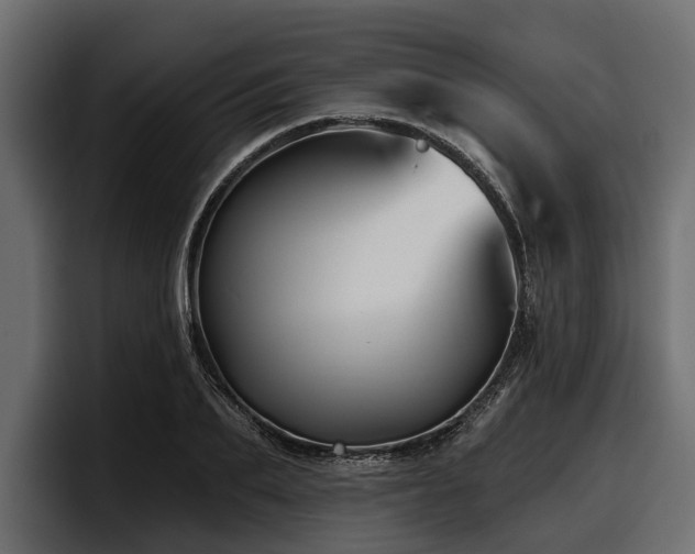 X0000097950887200803241151