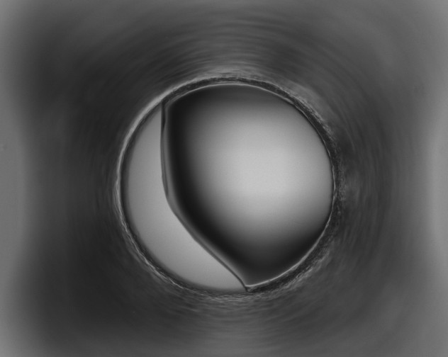 X0000097950888200803241151