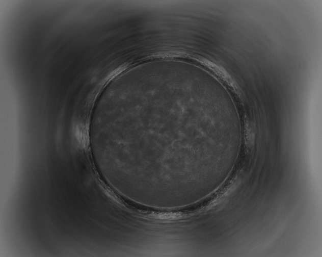 X0000097950889200803241151