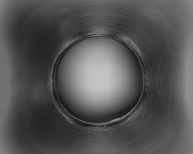 X0000097950890200803241151