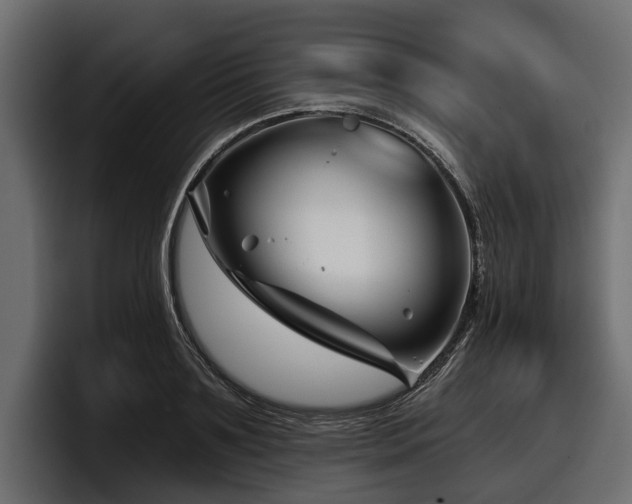 X0000097950891200803241151