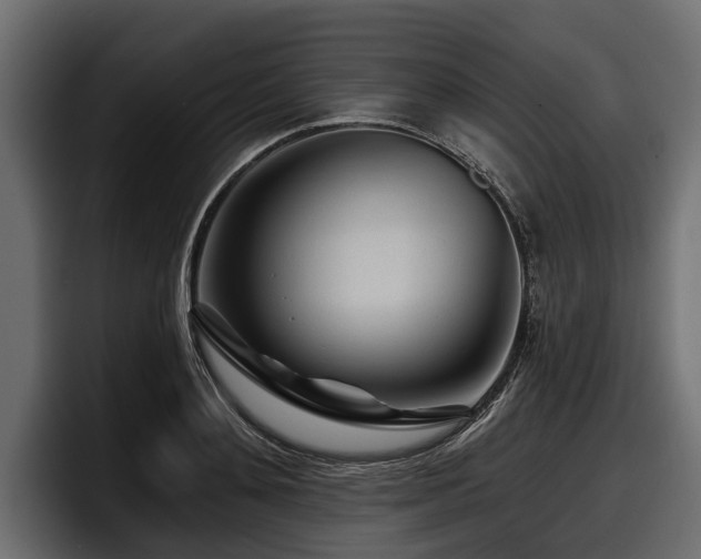 X0000097950892200803241151
