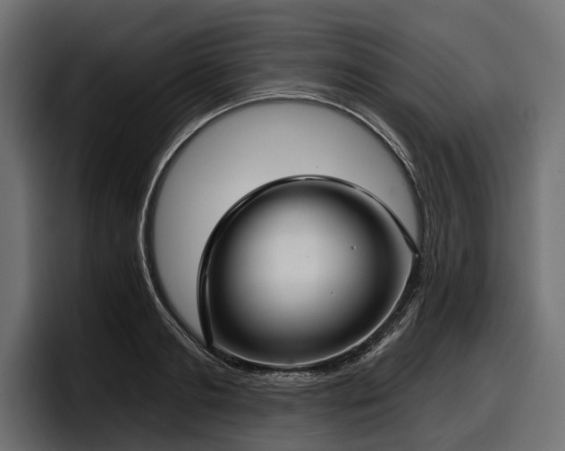 X0000097950893200803241151