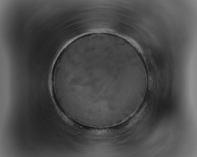 X0000097950895200803241151