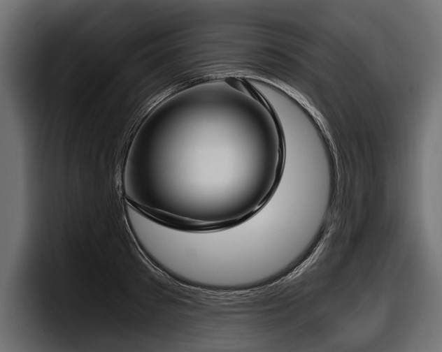 X0000097950897200803241151