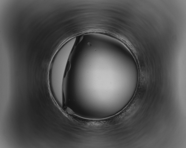 X0000097950898200803241151