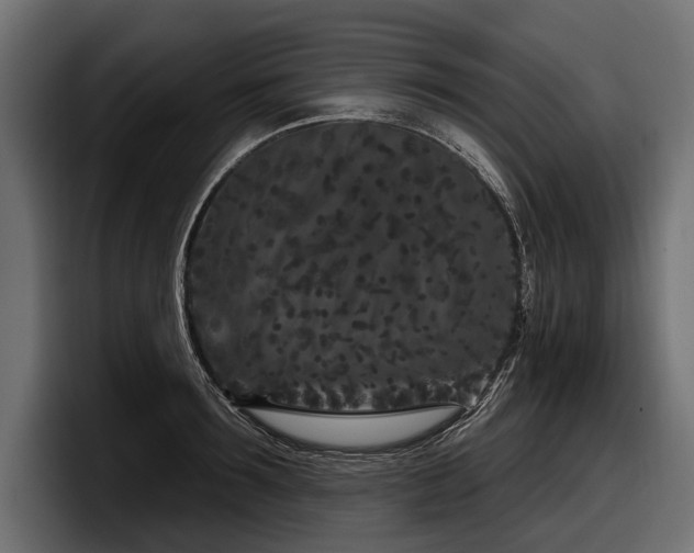 X0000097950899200803241151