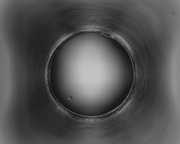 X0000097950901200803241151
