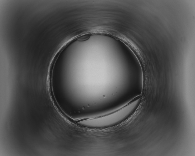 X0000097950902200803241151