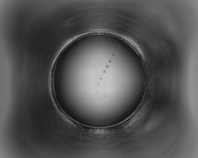 X0000097950903200803241151