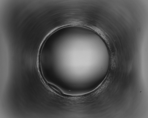 X0000097950904200803241151