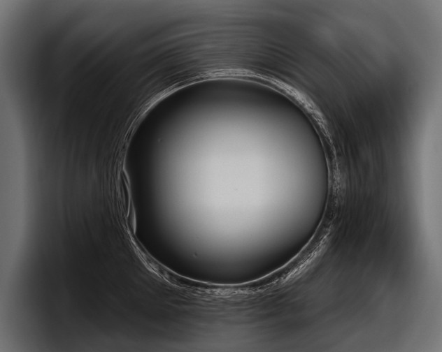 X0000097950905200803241151