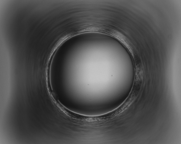 X0000097950906200803241151