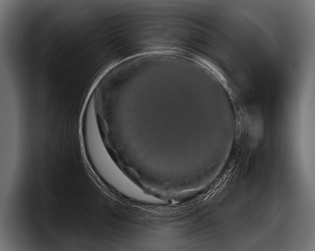 X0000097950907200803241151