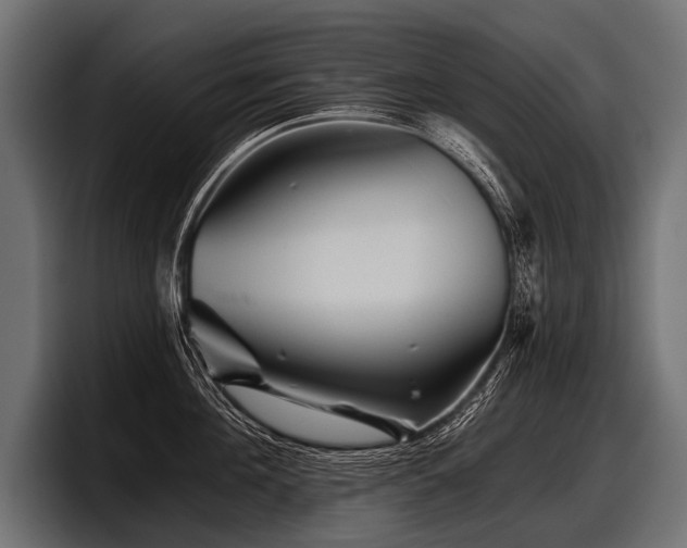 X0000097950908200803241151