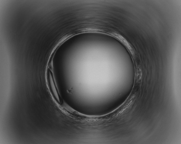 X0000097950909200803241151